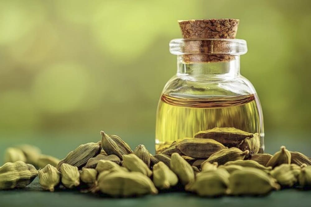カルダモン精油 1 Cardamom Essential Oil