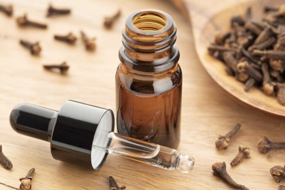 クローブ精油 1 Clove Essential Oil