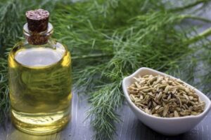 Essential Oils Export From India 20 Fennel Seed Essential Oil