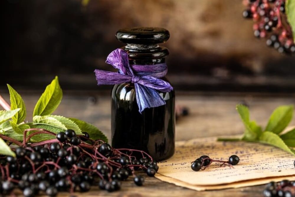 ジュニパーベリー精油 1 Juniper Berry Essential Oil