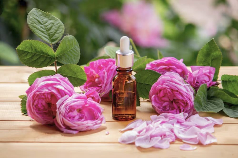 ローズ精油 1 Rose Essential Oil