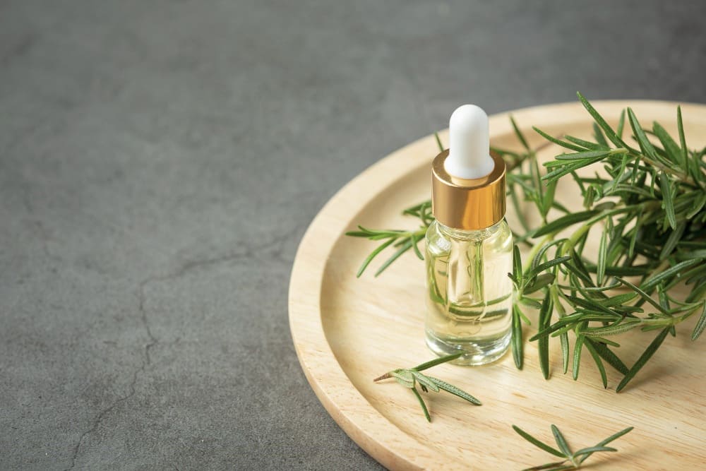 ローズマリー精油 1 Rosemary Essential Oil
