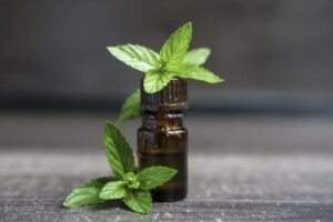 Essential Oils Export From India 30 Spearmint Essential Oil