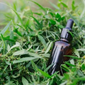 Tea Tree Essential Oil