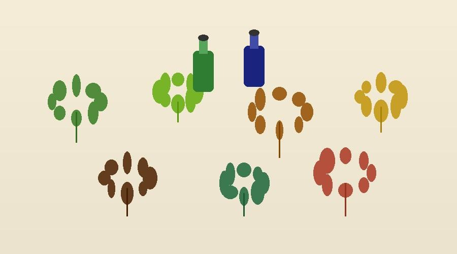 Figure 3: Aromatic herbs and botanicals — the raw materials at the heart of India’s essential oil industry.