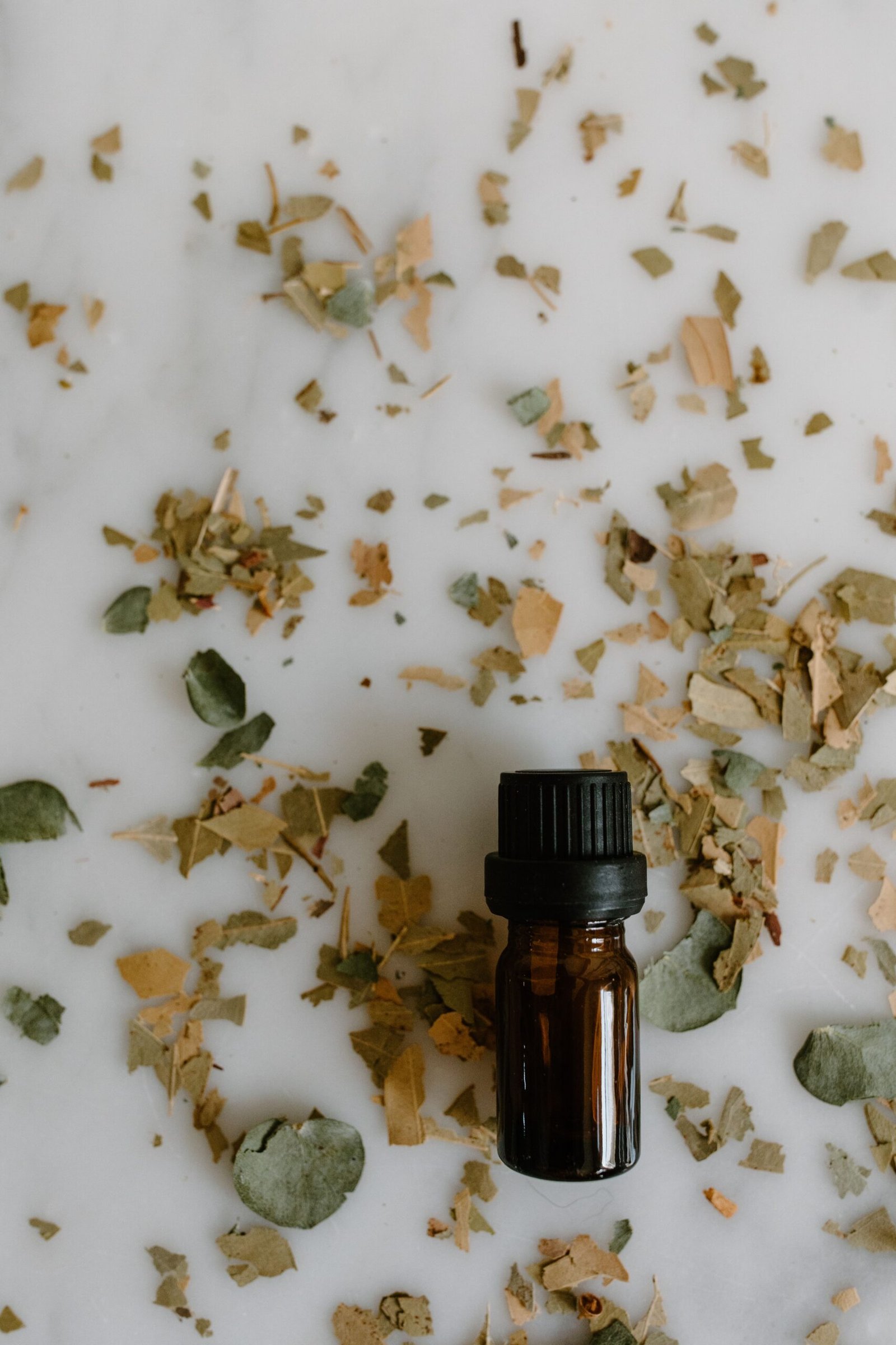 Eucalyptus essential oil in an amber glass bottle beside dried eucalyptus leaves