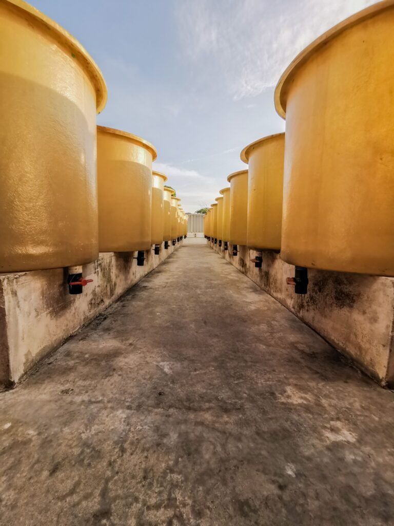 Industrial barrels lined up outdoors, representing drum packaging for bulk essential oil shipments